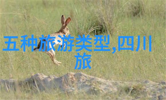 寻找长春古风古城街区探秘之旅