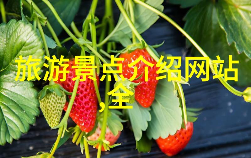 探索冬日奇迹雪乡自驾游攻略