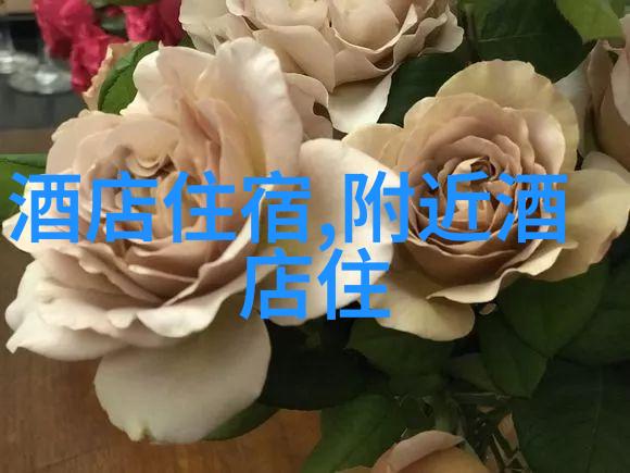 上海周边自驾游探索未知的美景与文化之谜