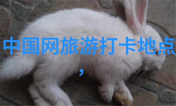 探索国土奇妙从不见鬼的故宫到笑傲江湖的黄山
