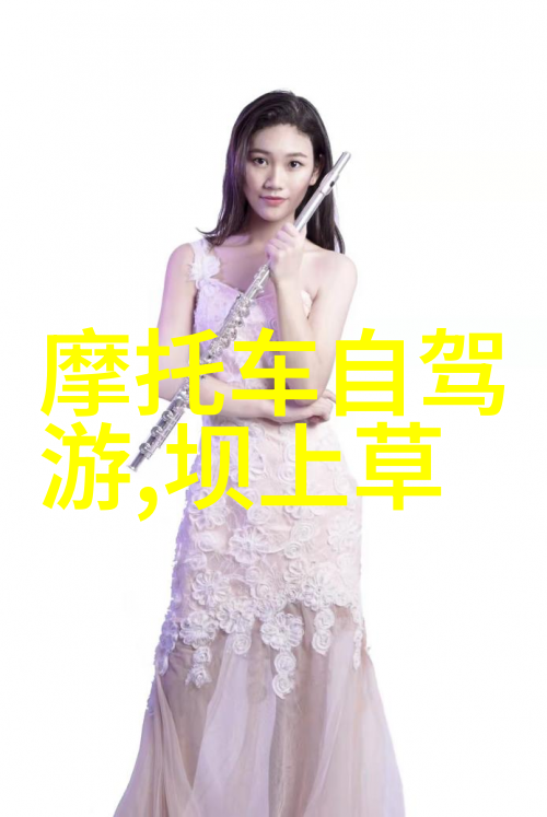虚拟翱翔云旅游网的无限可能