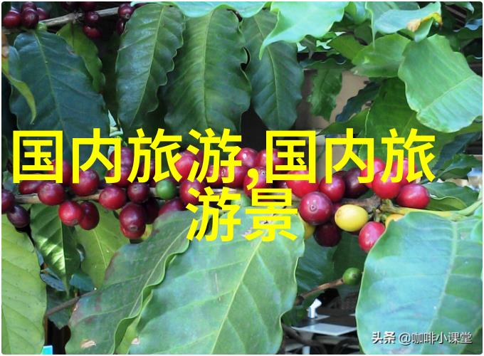 旅爸爸青岛旅游攻略3天随心而动路线随性而行