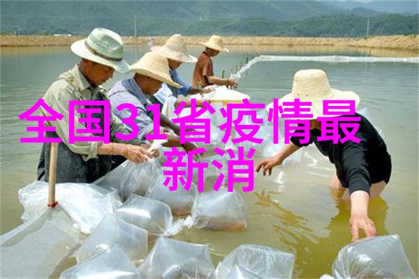 广州之旅自驾探索香江魅力