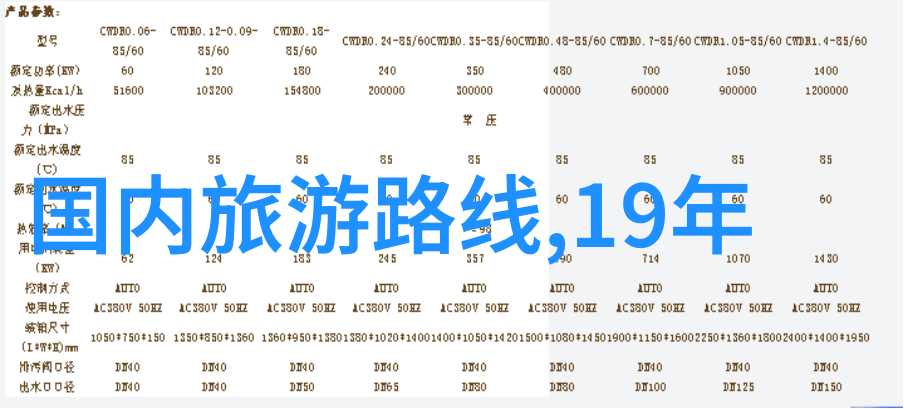 满载的旅程高C公交车上的每一位乘客