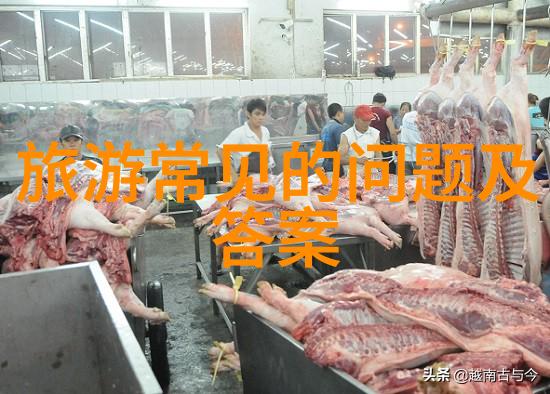夏日之旅追忆与启示