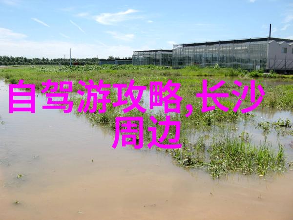 武 当 山 的 神 秘 地 理 与 人 文 论 坛