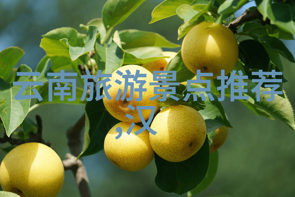 与其他城市相比丽江在应对突发公共卫生事件方面有什么独特优势或劣势