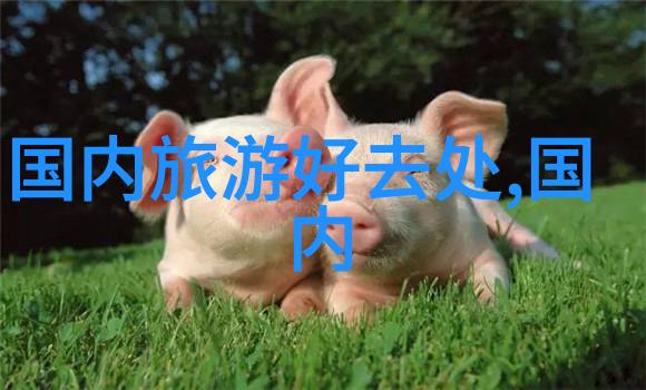 探秘我国春天的桃花之旅