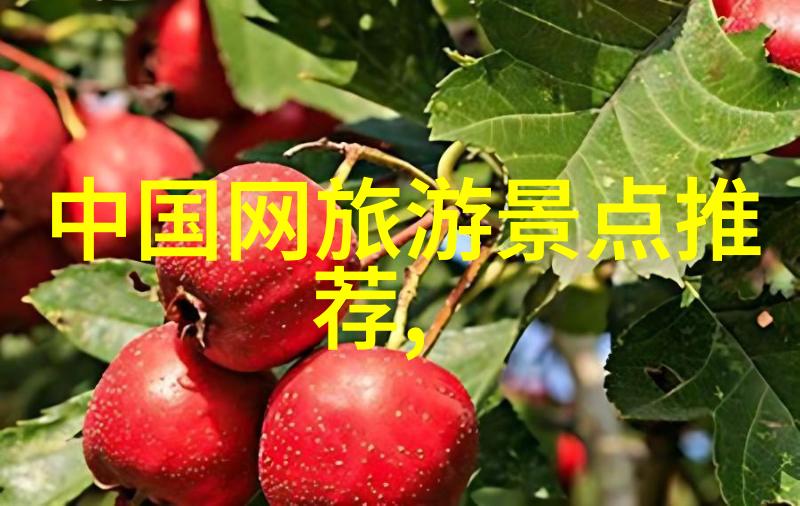 绘风景追逐日落的旅程