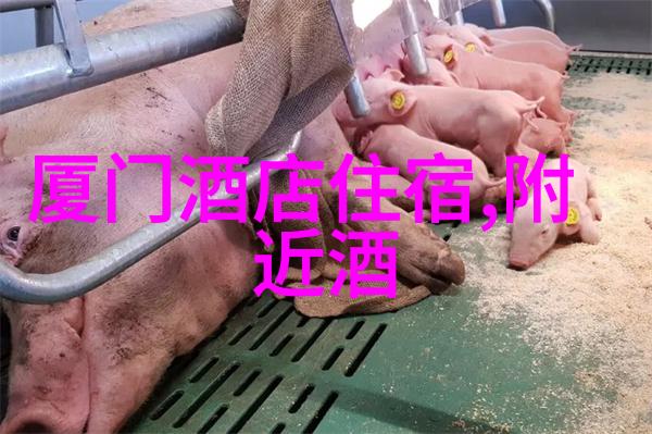 青龙湖畔的浪漫之旅如何安排一次完美的约会行程
