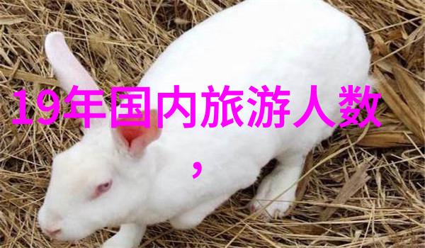 全球旅游热点揭秘最新的景区开放交通便利化与疫情安全措施