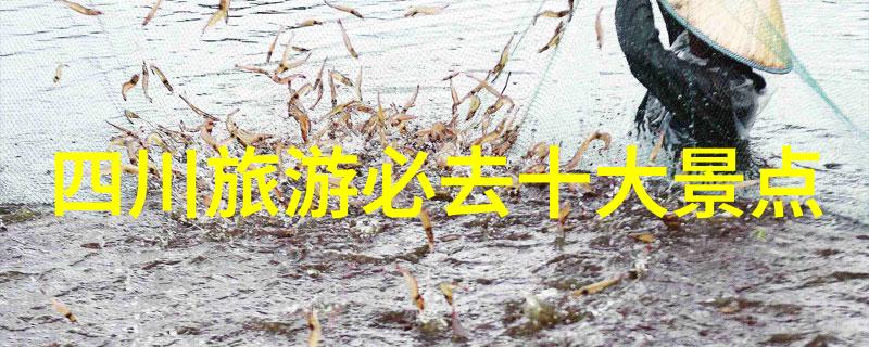 探索地球上的奇迹世界各地的旅游胜地又有哪些隐藏宝藏等待我们去发现