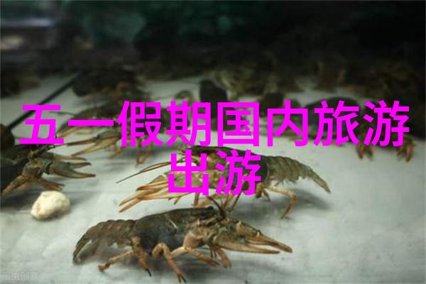 绿色出行新宠儿那些改变了人们riding方式的APP又是什么样的呢