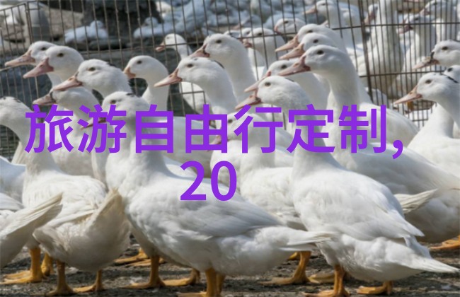 重庆天城奇观景区新开通玻璃底升降梯引游客热议