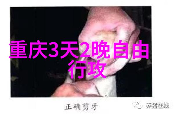 上海四人房间住宿体验舒适私密的城市居所