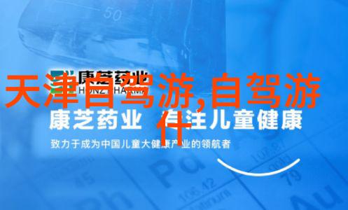 官舵探索传统与现代的交汇点