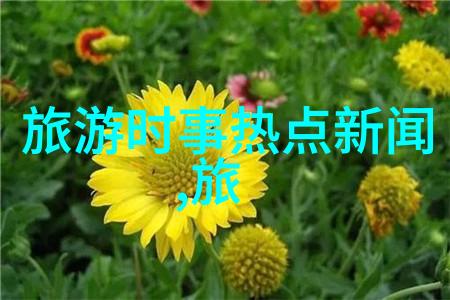 企业团队建设之旅跨越边界共筑梦想