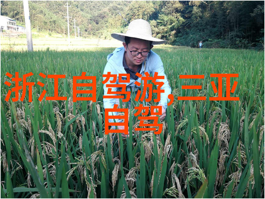 春节的家门红灯笼传统与现代的交汇点