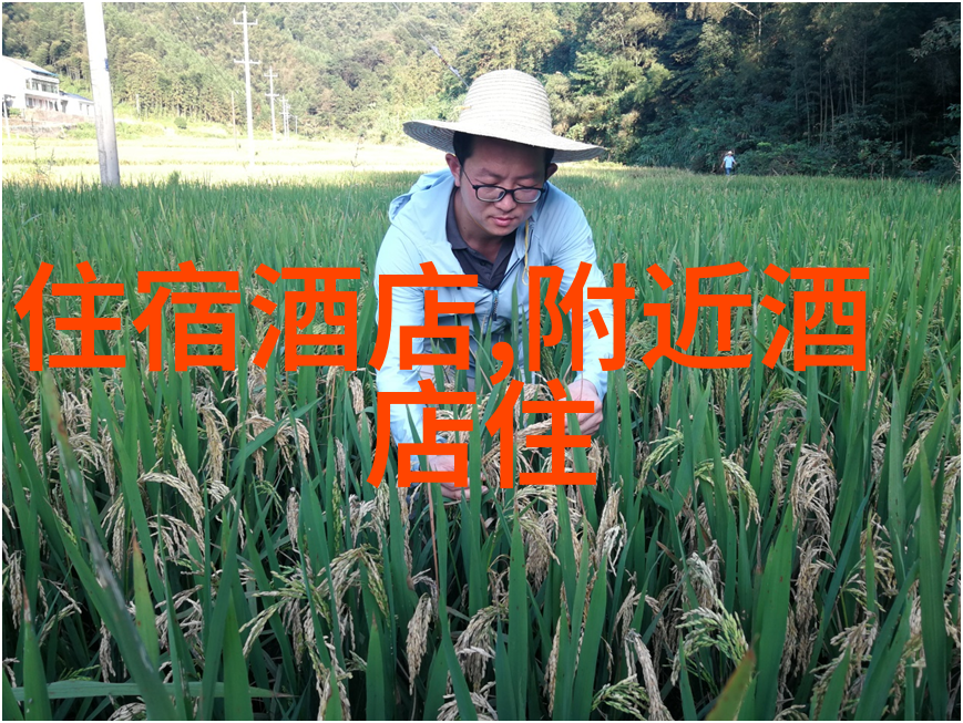 上海旅游酒店推荐 - 华美之选探索上海最佳住宿地儿