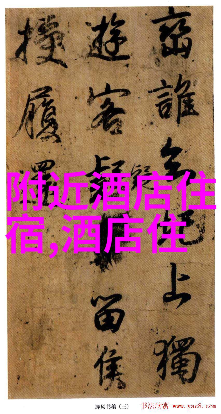 上海美食盛宴探秘人气app背后的故事