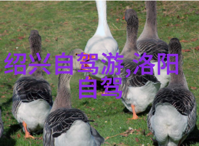 梵净山是如何得名的它背后的故事又是什么