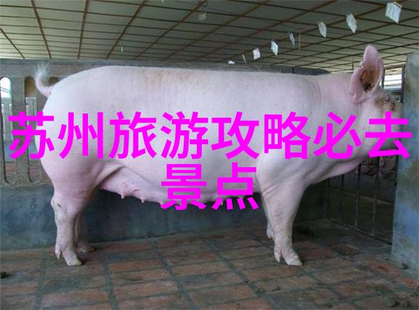 香港隔离酒店名单与费用更新2021第六轮解读及苏州住宿攻略在社会中的应用