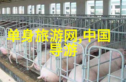 云南自驾游翠峦古道上的梦想行者