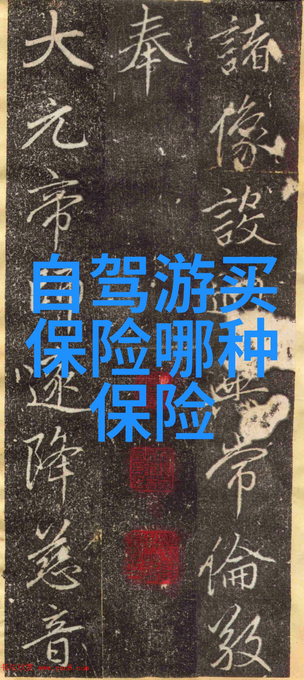 公路征途如何选择合适的自行车伴侣