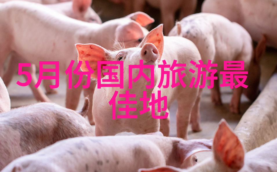 七月儿童乐园城市选择如同拼图完美带孩子旅行线路