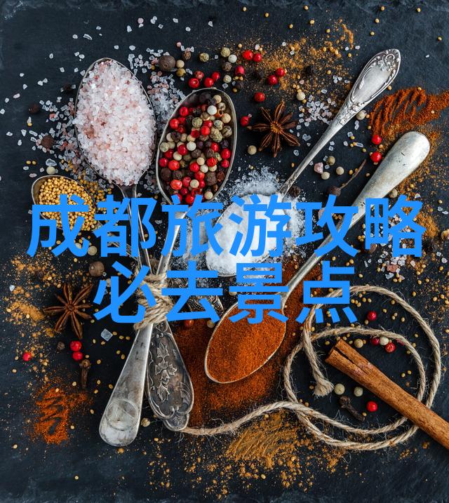 梦想之城穿越时空的旅人