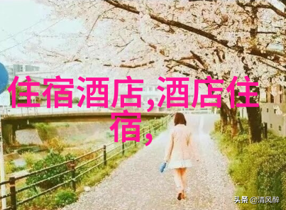 上海梦花源自然户外活动介绍组织流程与门票信息