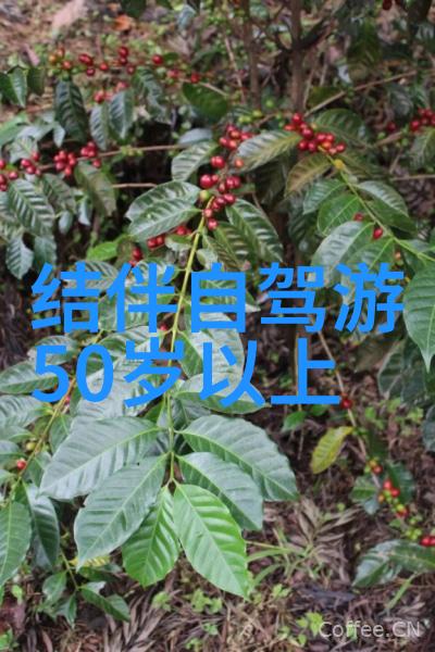 探索国土美景领略国内旅游公司的魅力与创意