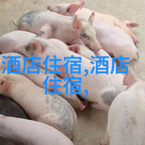 中国旅游业新动向疫情后首批国门开放与特色景区升级