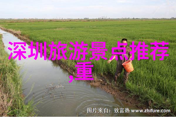 旅游新星闪耀秘境探索公园开启前夜票售罢