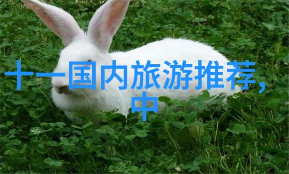 哪些地方在中国被誉为人文古迹之都