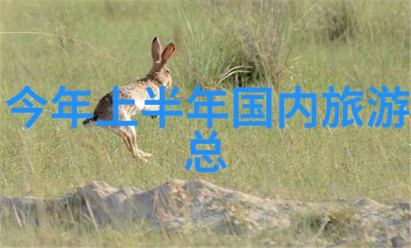 成都私人导游必备揭秘锦里古镇的魅力