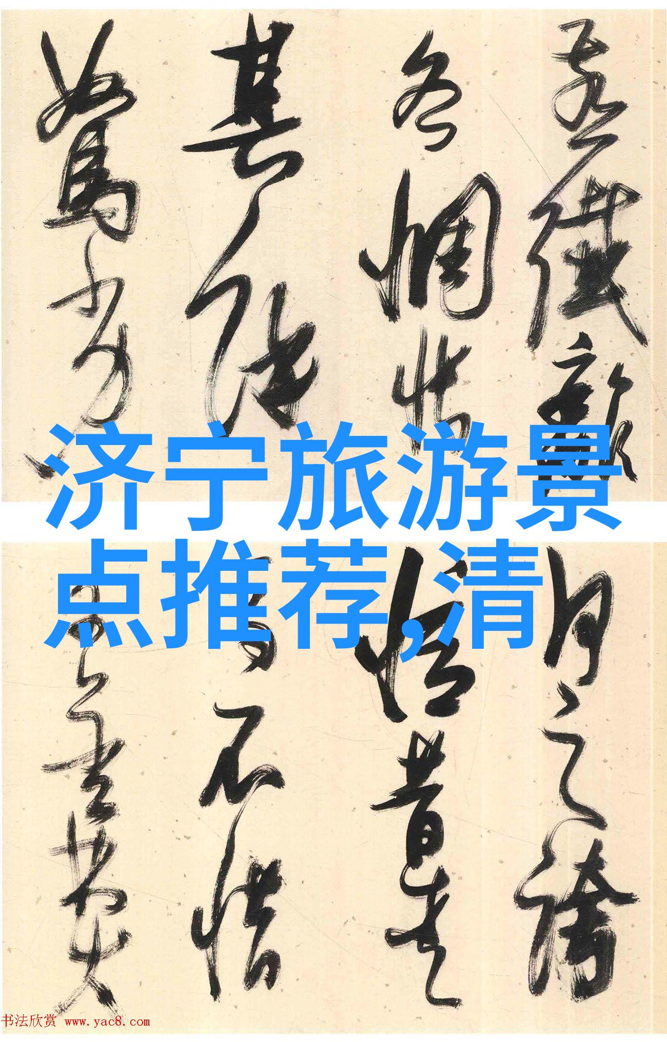 骑自行车与跑步哪个更佳健康健身的双重选择