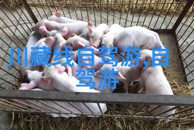 北京美食之旅品味非凡的小吃佳肴