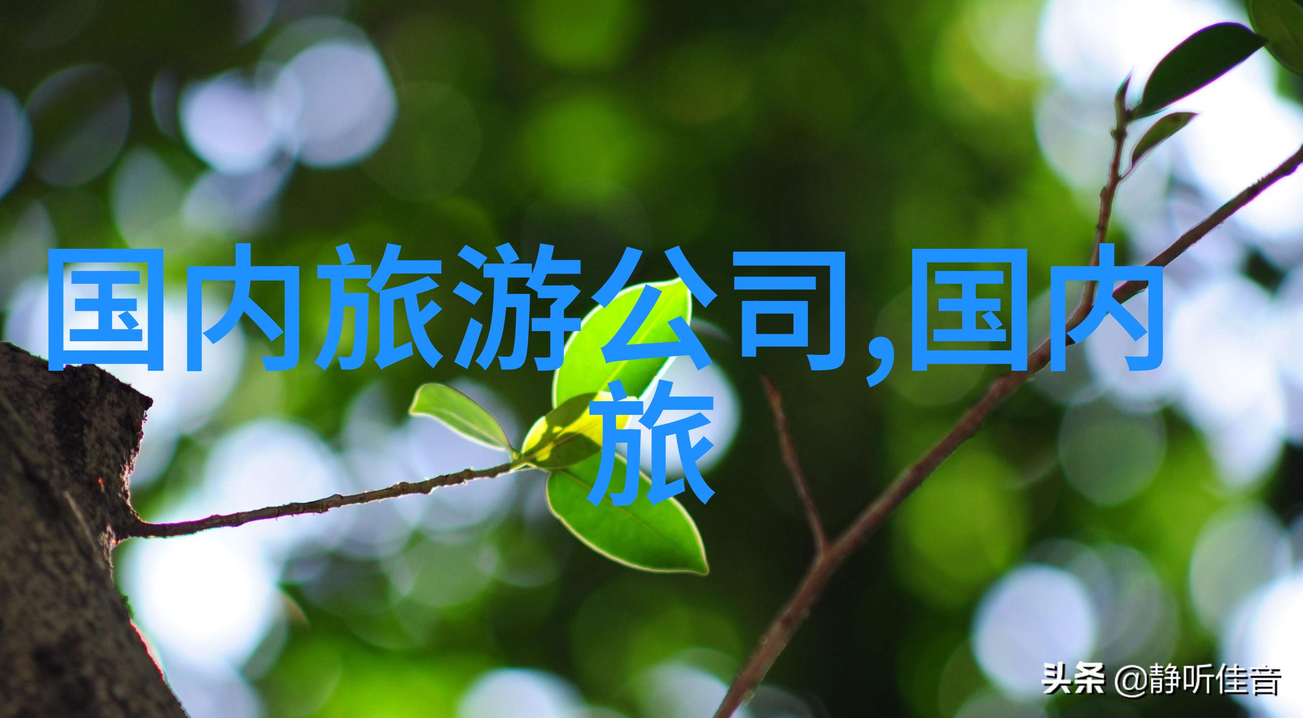 西江千户苗寨-守护古韵探秘西江千户苗寨的传统与现代