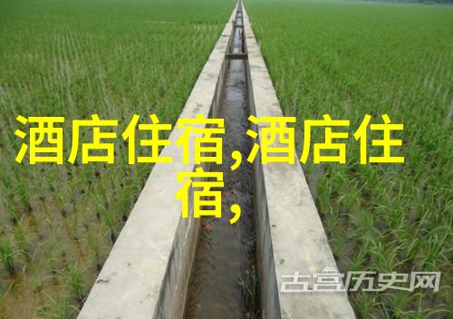 广东省内自驾游探秘广州深圳珠海佛山的美食与景点