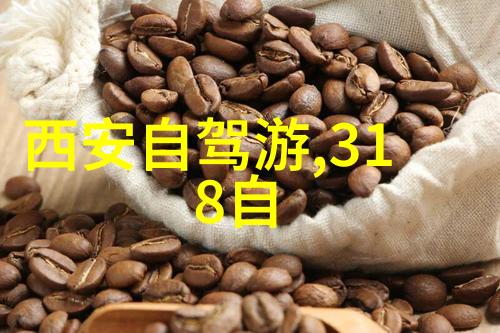新春骑行追逐风景描绘2023的足迹