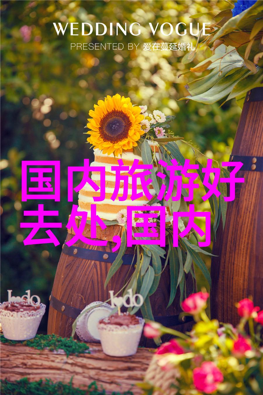 四房播播精选家庭生活的温馨分享