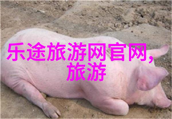 日本料理爱好者应该前往哪些地方探索新鲜美味