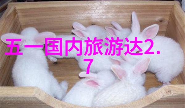 美食短视频素材免费我是如何找到超级棒的美食拍摄素材的