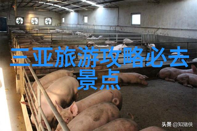 伦敦国王学院梦想韩国首尔一年留学生活15万足够吗
