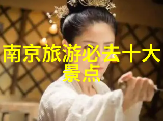 南京美食盛宴紫金荣宝盐市口小吃东坡肉秦淮河鲜