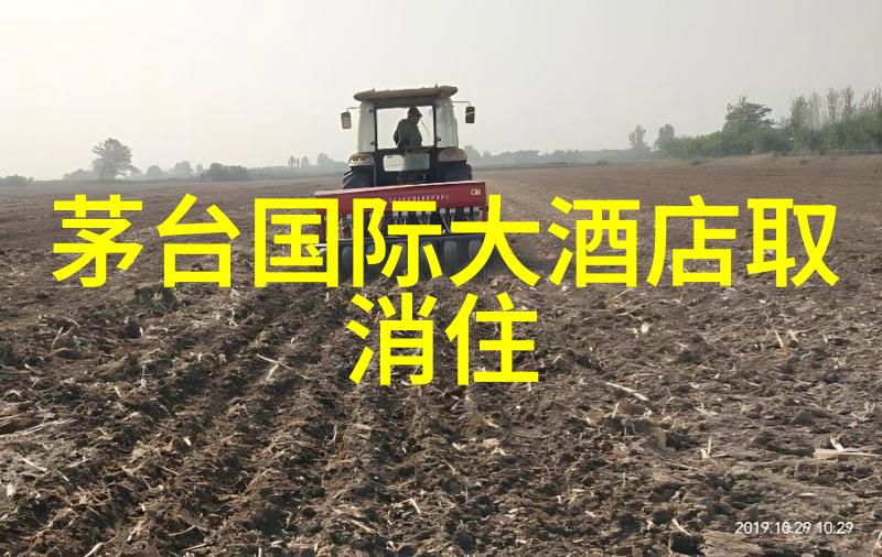 极速骑行4的免费之路探索