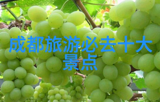 绘制梦想精选自驾游路线探秘之旅