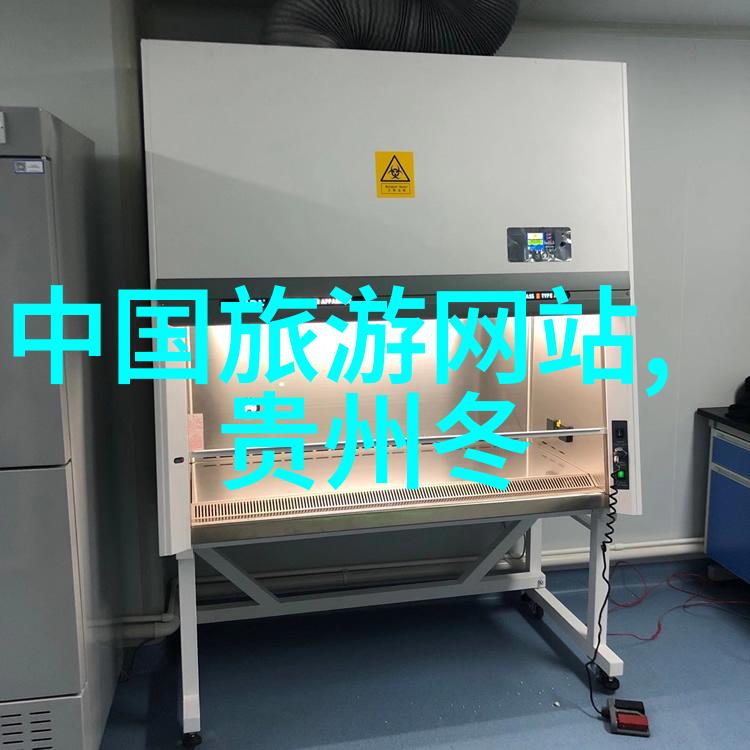 小学生的甜蜜实验室自制甜点之旅