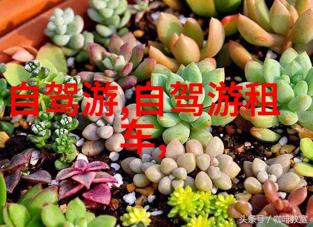 青春旅途初二生游记作文600字探索自我成长的足迹